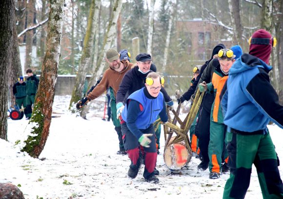 Mehrere Mitarbeiter unserer Forstgruppe ziehen fröhlich einen Baumstamm durch den Schnee, Winterarbeiten im Wald